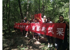 公司團建