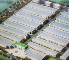 商洛泰鑫鋼結(jié)構(gòu)工程—構(gòu)建美好生活！